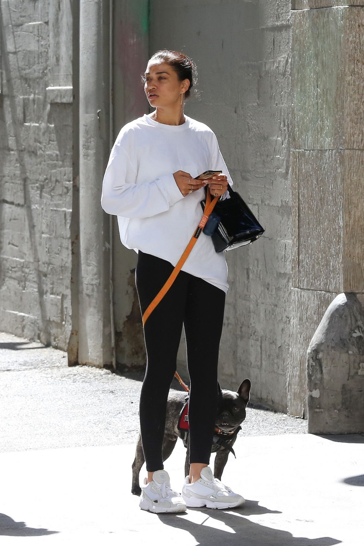 shanina-shaik-out-with-her-dog-in-los-angeles-07-18-2019-2.jpg
