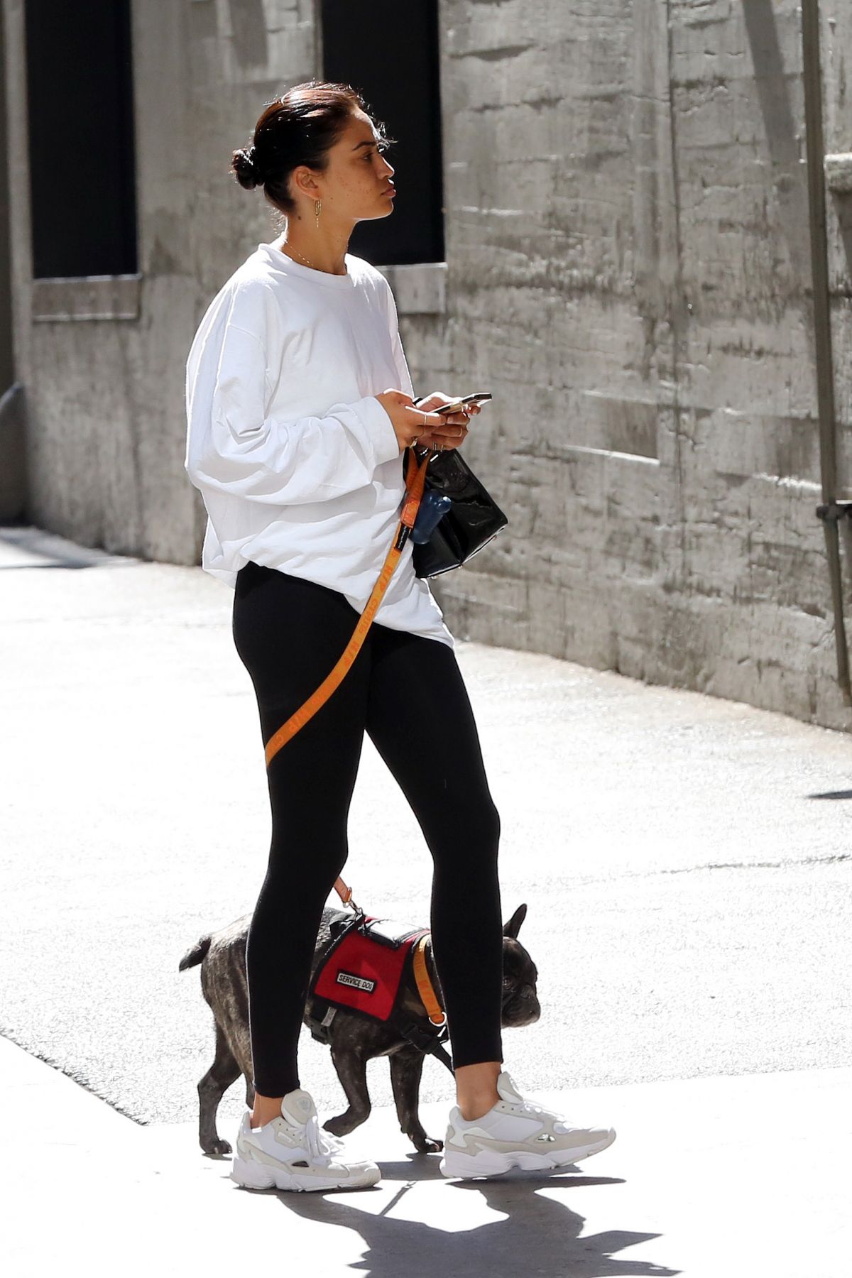 shanina-shaik-out-with-her-dog-in-los-angeles-07-18-2019-4.jpg