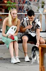 SOPHIE TURNER and Joe Jonas Out with Their Dog in McCarren Park in Brooklyn 07/27/2019