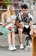 SOPHIE TURNER and Joe Jonas Out with Their Dog in McCarren Park in Brooklyn 07/27/2019