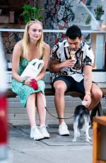 SOPHIE TURNER and Joe Jonas Out with Their Dog in McCarren Park in Brooklyn 07/27/2019