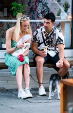 SOPHIE TURNER and Joe Jonas Out with Their Dog in McCarren Park in Brooklyn 07/27/2019