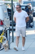 TAYLOR NEISEN and Liev Schreiber Out with Their Dog in New York 07/17/2019