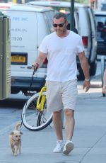 TAYLOR NEISEN and Liev Schreiber Out with Their Dog in New York 07/17/2019