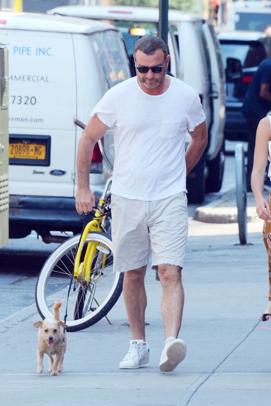 TAYLOR NEISEN and Liev Schreiber Out with Their Dog in New York 07/17/2019