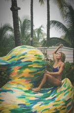 TORRIE WILSON in Bikini - Instagram Pictures July 2019