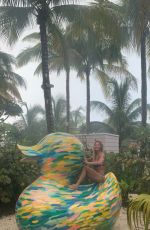 TORRIE WILSON in Bikini - Instagram Pictures July 2019