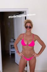 TORRIE WILSON in Bikini - Instagram Pictures July 2019