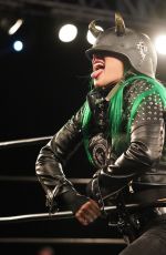 WWE - Evolve