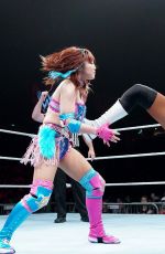 WWE - WWE Live in Singapore 2019