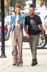 ZENDAYA COLEMAN Out for Lunch with Her Brother Austin in Burbank 07/25/2019