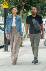 ZENDAYA COLEMAN Out for Lunch with Her Brother Austin in Burbank 07/25/2019
