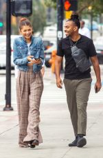ZENDAYA COLEMAN Out for Lunch with Her Brother Austin in Burbank 07/25/2019