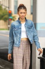 ZENDAYA COLEMAN Out for Lunch with Her Brother Austin in Burbank 07/25/2019