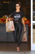 ALESSANDRA AMBROSIO Out Shopping in Los Angeles 08/10/2019