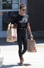 ALESSANDRA AMBROSIO Out Shopping in Los Angeles 08/10/2019