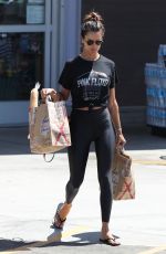 ALESSANDRA AMBROSIO Out Shopping in Los Angeles 08/10/2019