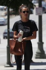 ALESSANDRA AMBROSIO Out Shopping in Los Angeles 08/10/2019