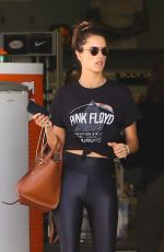 ALESSANDRA AMBROSIO Out Shopping in Los Angeles 08/10/2019
