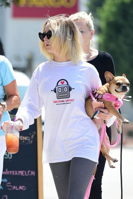 ALESSANDRA TORRESANI Out with Her Dog in Studio City 08/08/2019