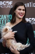 ALEXANDRA DADDARIO at Can You Keep A Secret? Premiere in Hollywood 08/28/2019
