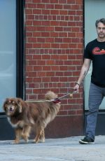 AMANDA SEYFRIED and Thomas Sadoski Out with Finn in New York 08/06/2019