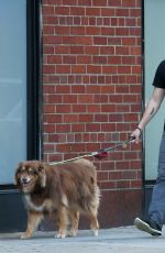 AMANDA SEYFRIED and Thomas Sadoski Out with Finn in New York 08/06/2019