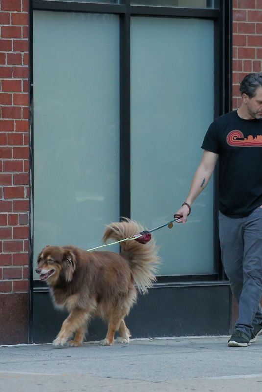 AMANDA SEYFRIED and Thomas Sadoski Out with Finn in New York 08/06/2019