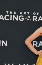 AMANDA SEYFRIED at The Art of Racing in the Rain Premiere in Los Angeles 08/01/2019