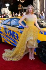 AMANDA SEYFRIED at The Art of Racing in the Rain Premiere in Los Angeles 08/01/2019