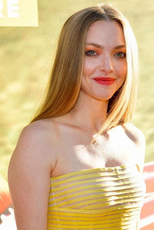 AMANDA SEYFRIED at The Art of Racing in the Rain Premiere in Los Angeles 08/01/2019
