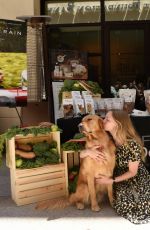 AMANDA SEYFRIED at The Dog Premiere of The Art of Racing in the Rain in Los Angeles 08/01/2019