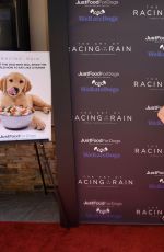 AMANDA SEYFRIED at The Dog Premiere of The Art of Racing in the Rain in Los Angeles 08/01/2019
