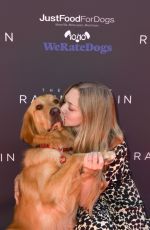 AMANDA SEYFRIED at The Dog Premiere of The Art of Racing in the Rain in Los Angeles 08/01/2019