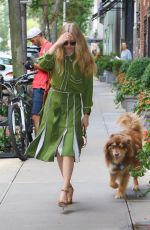 AMANDA SEYFRIED Out with Her Dog Finn in New York 08/06/2019
