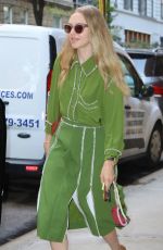 AMANDA SEYFRIED Out with Her Dog Finn in New York 08/06/2019