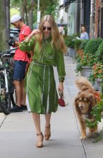 AMANDA SEYFRIED Out with Her Dog Finn in New York 08/06/2019