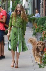AMANDA SEYFRIED Out with Her Dog Finn in New York 08/06/2019
