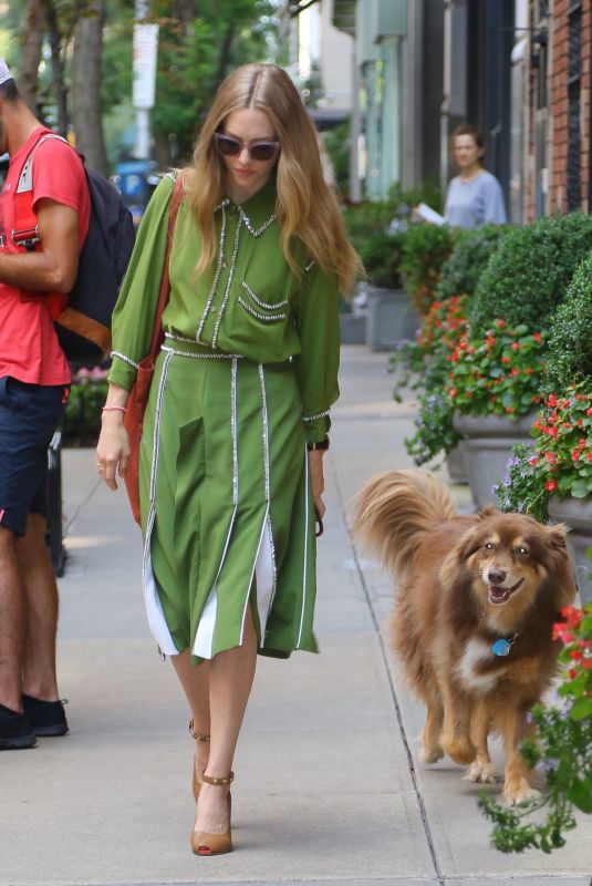 AMANDA SEYFRIED Out with Her Dog Finn in New York 08/06/2019