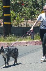 AMANDA SEYFRIED Out with Her Dog in Hollywood 08/02/2019