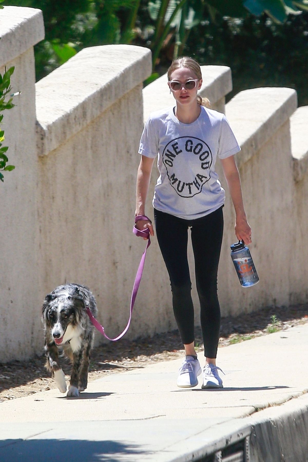 AMANDA SEYFRIED Out with Her Dog in Hollywood 08/02/2019 – HawtCelebs