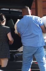 ARIEL WINTER Takes Her Dog to Animal Hospital in Los Angeles 08/12/2019
