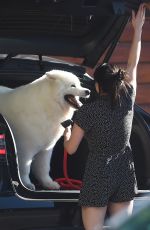 ARIEL WINTER Takes Her Dog to Animal Hospital in Los Angeles 08/12/2019