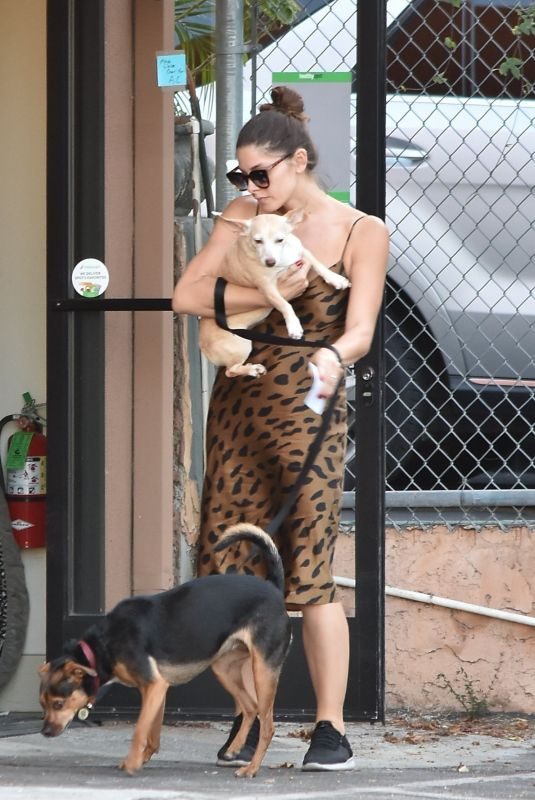 ASHLEY GREENE Out with Her Dogs in Studio City 08/05/2019