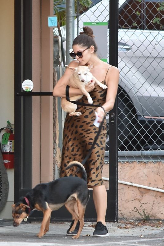 ASHLEY GREENE Out with Her Dogs in Studio City 08/05/2019