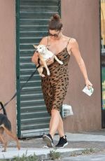 ASHLEY GREENE Out with Her Dogs in Studio City 08/05/2019