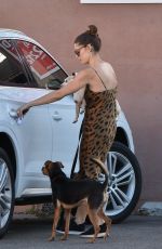 ASHLEY GREENE Out with Her Dogs in Studio City 08/05/2019