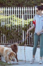 AUBREY PLAZA Out with Her Dogs in Los Angeles 08/22/2019