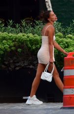 BROOKS NADER in Tight Dress Out in New York 08/10/2019