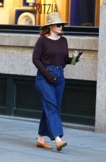 BRYCE DALLAS HOWARD Out and About in New York 08/13/2019